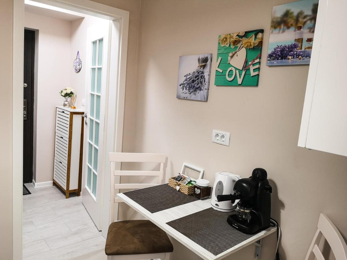 Yns Apartaments Iasi Bagian luar foto